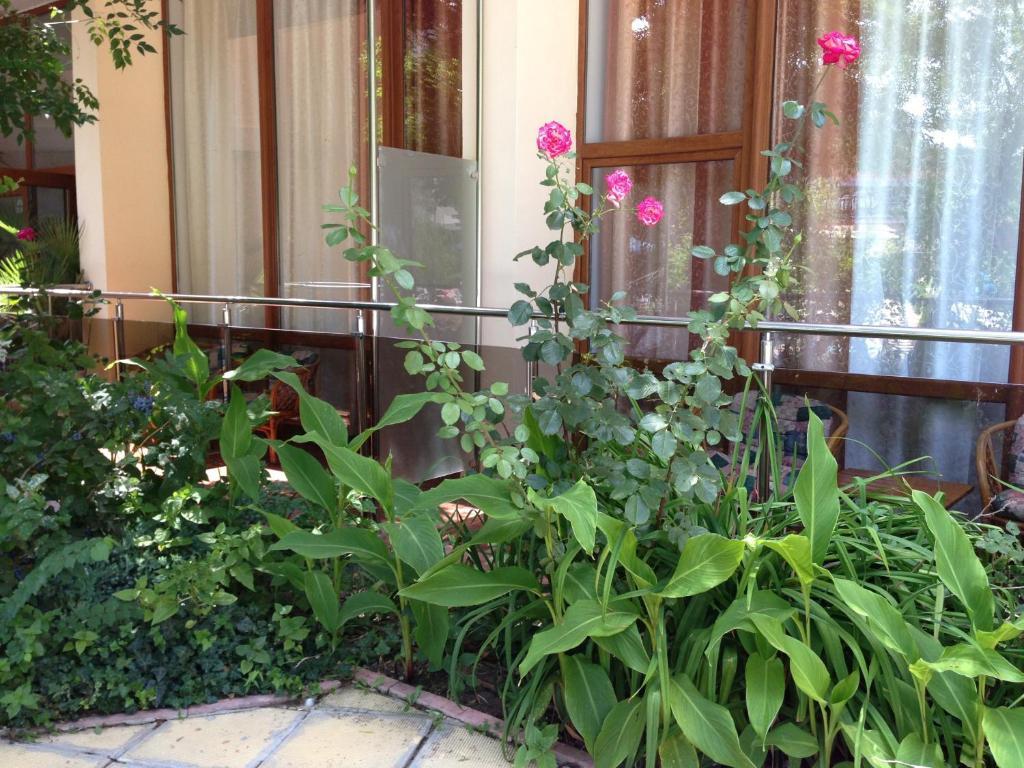 Jupiter Hotel Slantchev Briag Chambre photo
